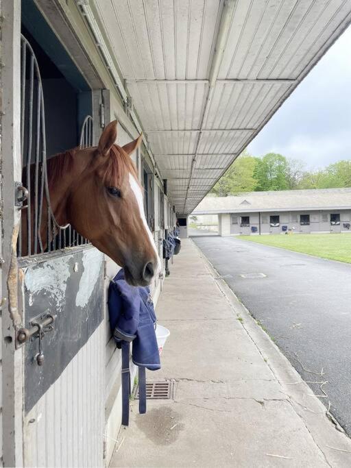 Paddock Prestige By La Boite En Plus Chantilly Exterior foto